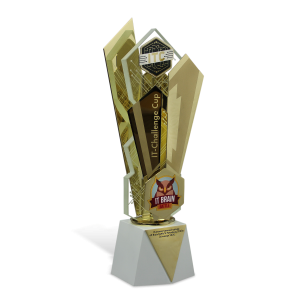 IT-Challenge Cup, 2020 - Art4You