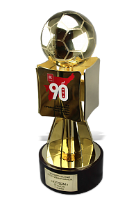 Корпоративная награда по футболу АФК-9193